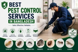 Best Pest Control Services in Bangladesh for termites, cockroaches, mosquitoes, rodents, bed bugs, ants, and other common household pests.
