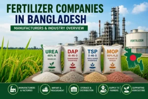 Fertilizer companies in Bangladesh and fertilizer industry overview