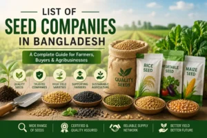 Seed companies in Bangladesh featuring rice, maize, vegetable seeds, and agricultural seed varieties.